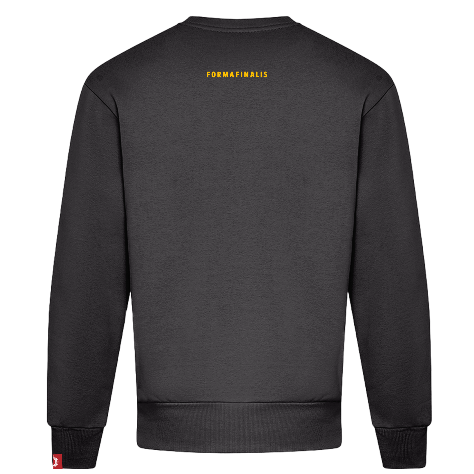 - Classic Logo Sweatshirt – Deep Black – Embroidered Golden Tiger crest front on left chest  – Embroidered FormaFinalis wordmark back neck line
- Oversized Streetwear Crewneck – 440GSM – cotton mix 