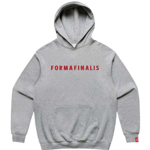 “SS25 FormaFinalis heavy hoodie in Heather Grey – oversized pullover, contrasting wordmark embroidery accross chest, knit cuffs and hem, discreet embroided tiger head logo on sleeve.