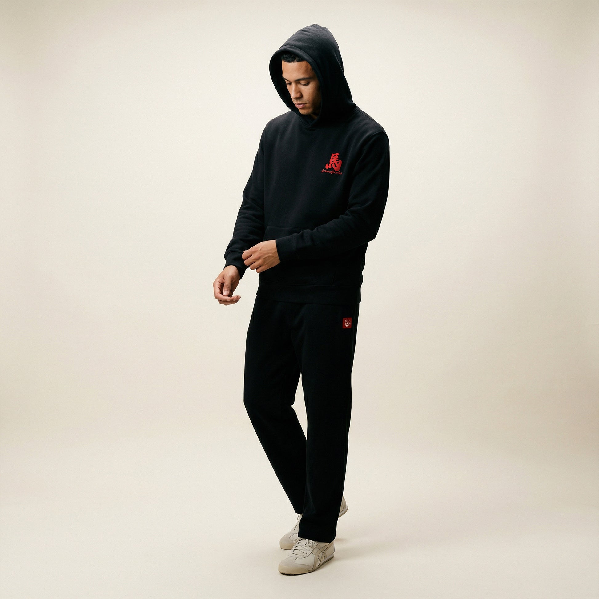 ArchivE 26| Faded Hoodie | Lóng Mǎ Chimera